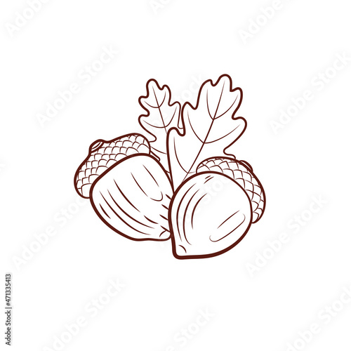 outline Acorn illustration, black lined icon isolated.