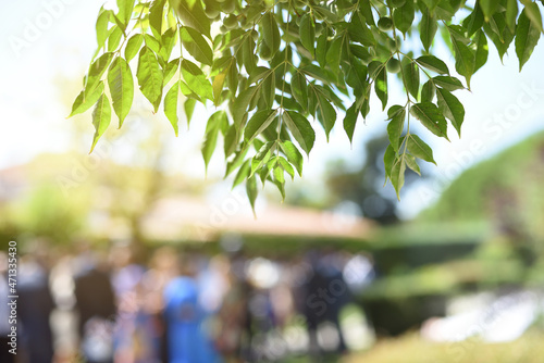Out-of-focus background with gathering of people outdoors on a sunny day with leaves