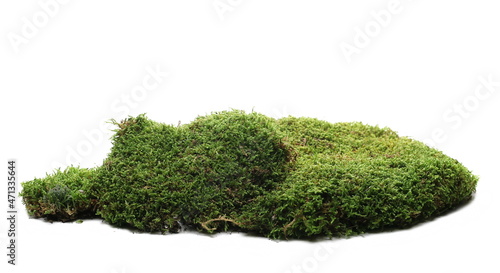 Green moss isolated on white background and texture, side view