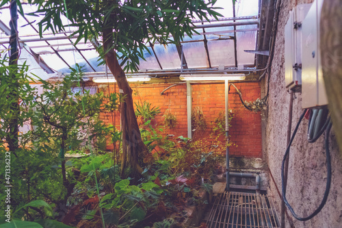 Wood in a botanical garden with red brick photo