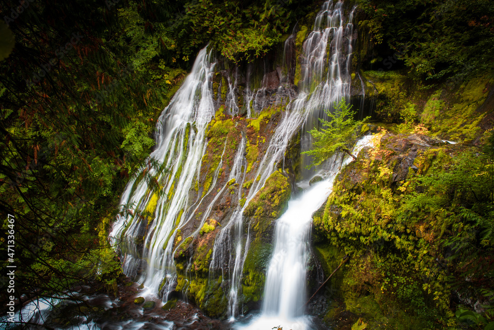 Panther creek falls a waterfall in the forest Panther creek falls a waterfall in the forest