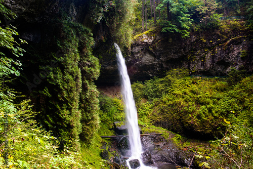 North falls bassin and vegetation in silver falls state park