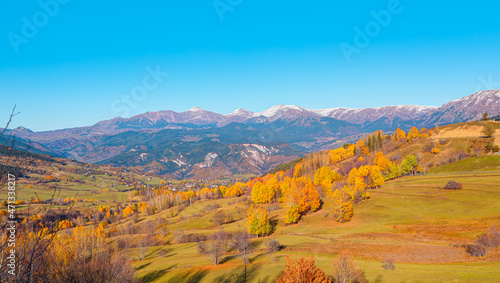 Panoramic view of Savsat highlands on a beautiful autumn day - Scenic image of forest landscape at sunny day - Autumn colorful landscape with colorful tree - Savsat, Artvin © muratart