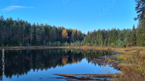 a beautiful nature park with blue skies and trees in the water