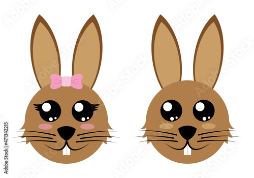 Lapin