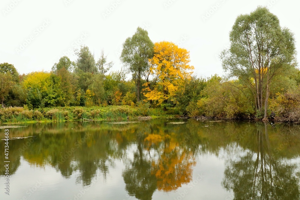 Small overgrown forest lake in early autumn 