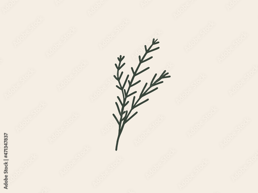 Vector illustration of a hand drawn branch isolated on pastel beige background Vector illustration of a hand drawn branch isolated on pastel beige background