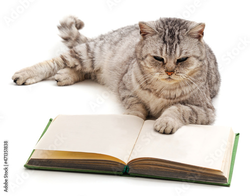 Cat reading a book.