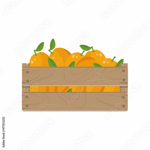 Wooden box with orange fruit, isolated on white background. Vector illustration