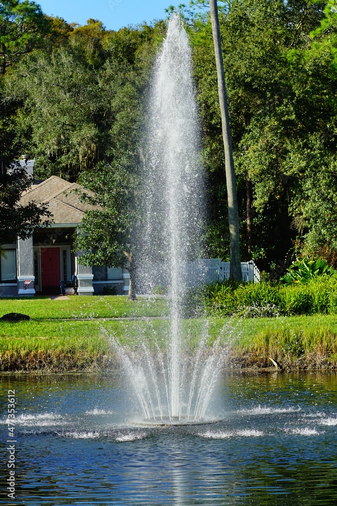 A pond in a community of Florida	