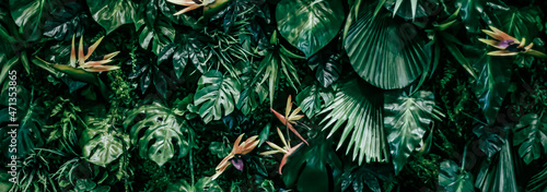 Leinwand Poster Tropical leaves as nature and environmental background, botanical garden and floral backdrop, plant growth and landscape design