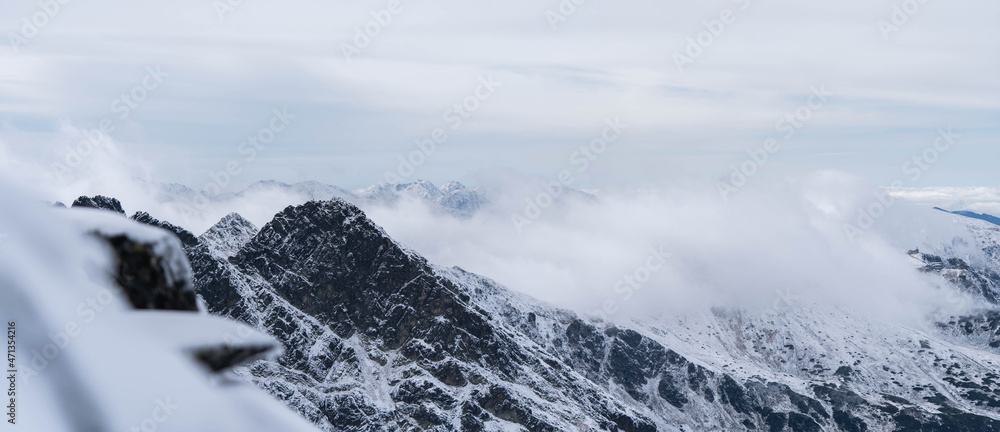 Obraz premium silence among the snow-capped mountains, panorama, incredible wildlife