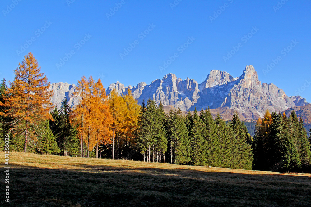 le Pale di San Martino con il Cimon dalle Carigole; Val di Fiemme, Trentino