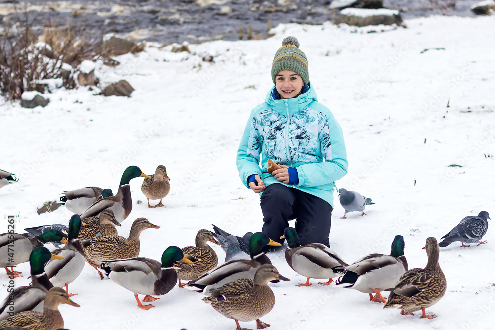 Fototapeta premium A positive girl spends time on a winter walk in the park among wild mallards.
