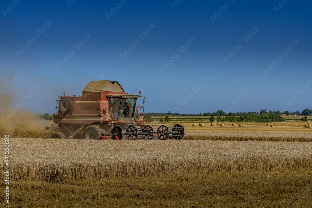 Obraz premium Paysage campagne 1138