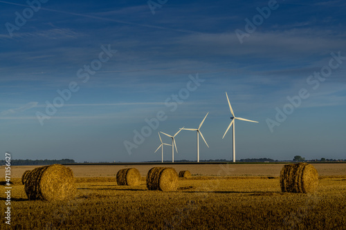 Fototapeta Paysage campagne 1143