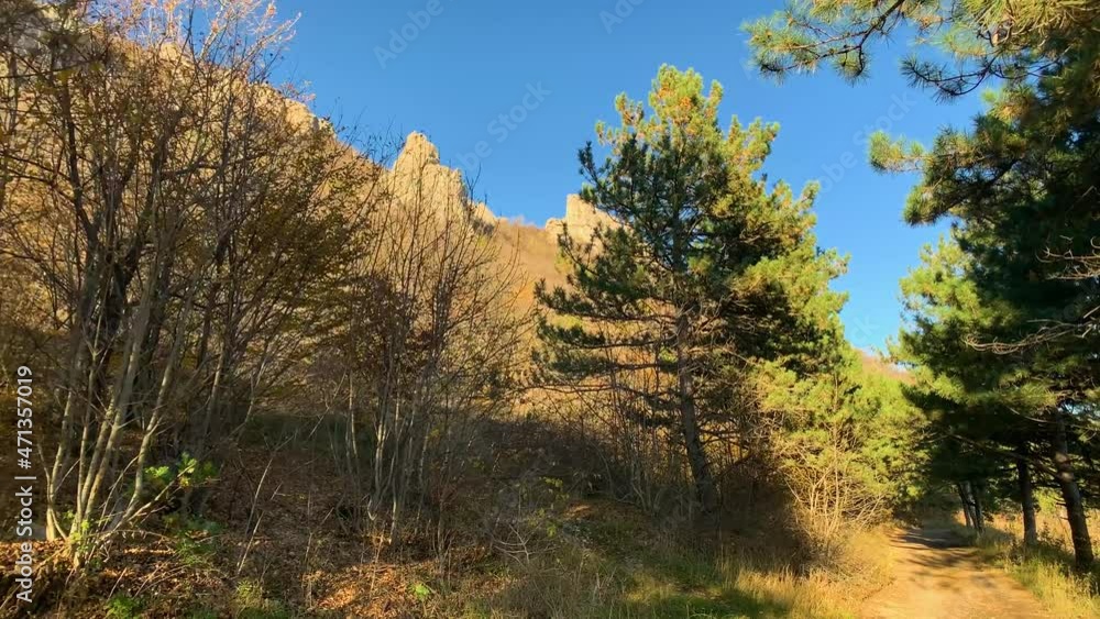 A picturesque glade in the forest under the mountain rocks. Landscape and nature of the North Caucasus
A picturesque glade in the forest under the mountain rocks. Landscape and nature of the North Caucasus