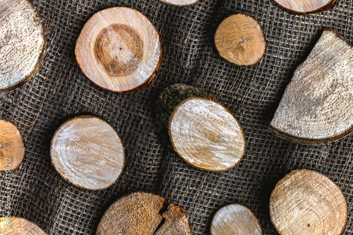 Wood cuts of different diameters with a crack on a brown burlap fabric background in a small square  natural products concept  flat lay