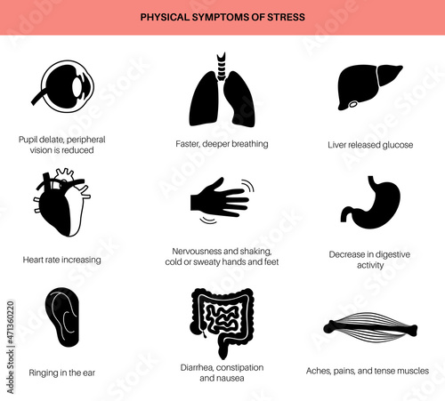 Stress responce system