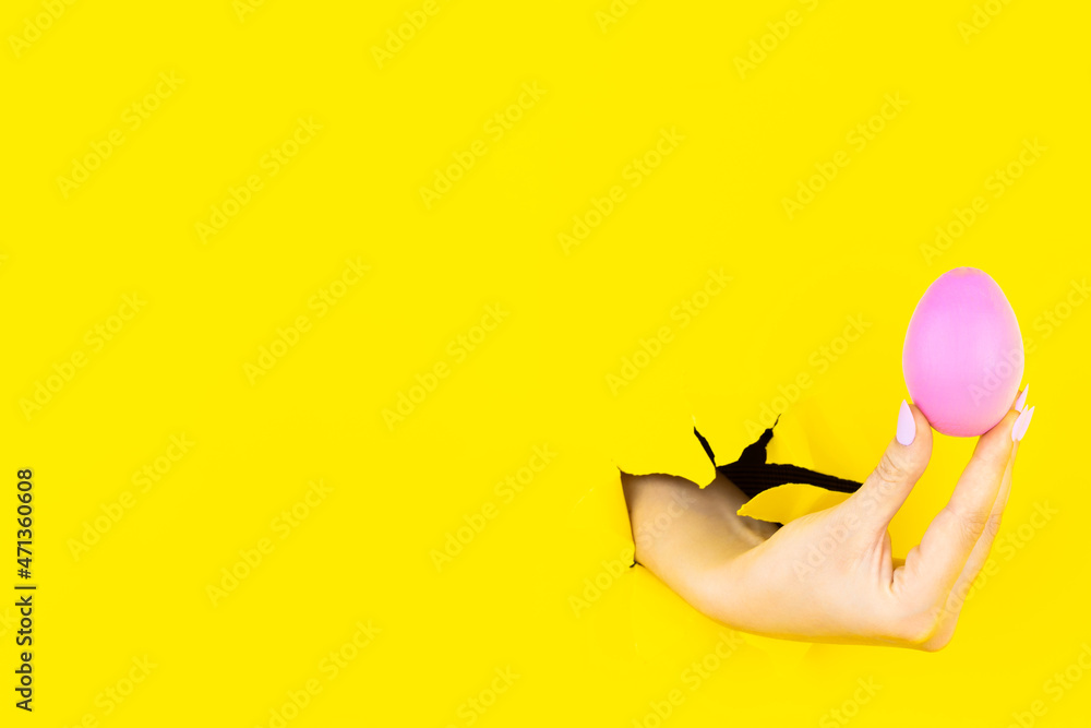 Female hand is holding painted colored pink egg in torn hole on yellow background. Happy easter, spring holidays, greeting invitation card or festive banner template. Food court festival concept.