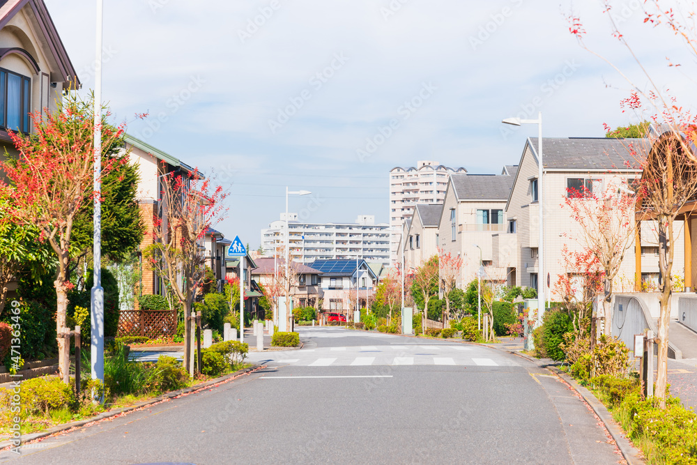 Obraz premium 郊外の住宅地 無電柱化タウン