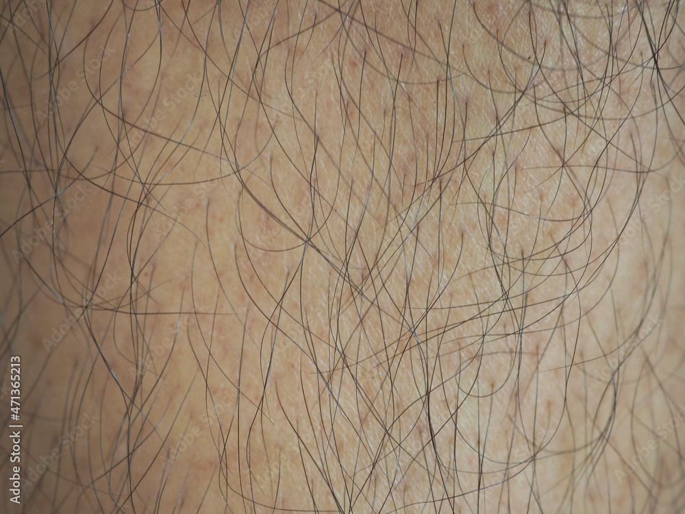 Man with a lot of black hair of the leg. closeup photo, blurred. Man with a lot of black hair of the leg. closeup photo, blurred.