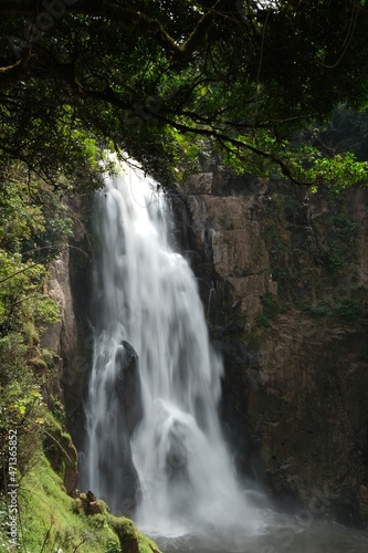 Taken at Khao Yai National Park, Thailand on vacation. nature tour