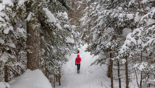 Winter forest snowshoe winter activity. Snowshoeing woman in winter forest with snow covered trees. People on hike in snow hiking in snowshoes living healthy active outdoor lifestyle. photo