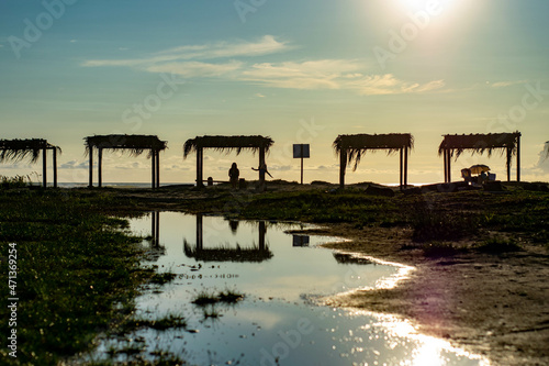Beach, Manabi, Ecuador, hermit crab