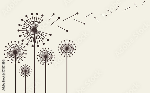 Hand drawn dandelion flowers . Abstract floral summer posters  wall art isolated on cream background.