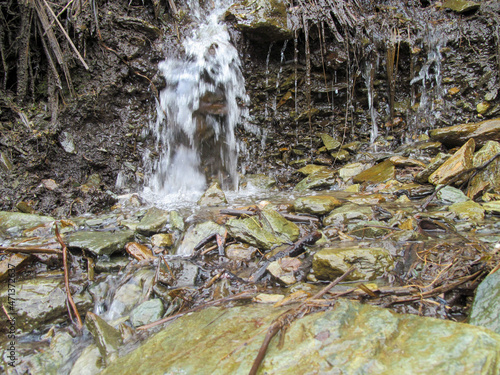 Fototapeta Naklejka Na Ścianę i Meble -  waterfall in the forest agua río quebrada