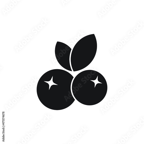 Cranberry icon design isolated on white background