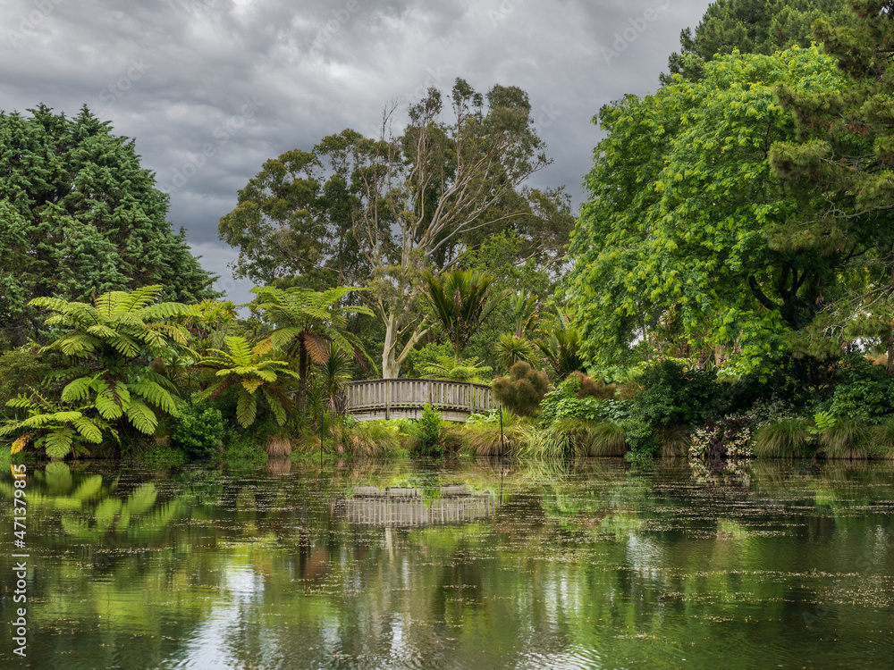 View of silver ferns and trees surrounding small wooden bridge with reflection in pond