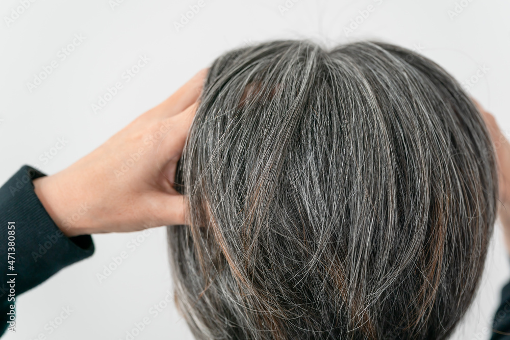 Fototapeta premium 白髪