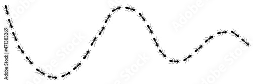 Ants trail with location icons. Route or path isolated in white background. Vector illustration