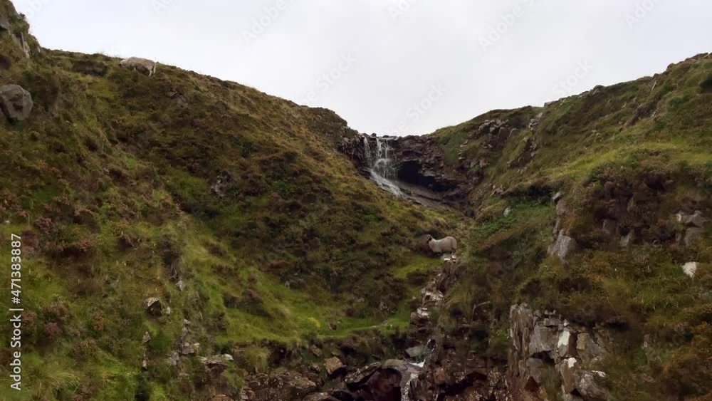 Slowly flowing waterfall in green mountains and grazing sheep on hill during cloudy day in Ireland Slowly flowing waterfall in green mountains and grazing sheep on hill during cloudy day in Ireland
