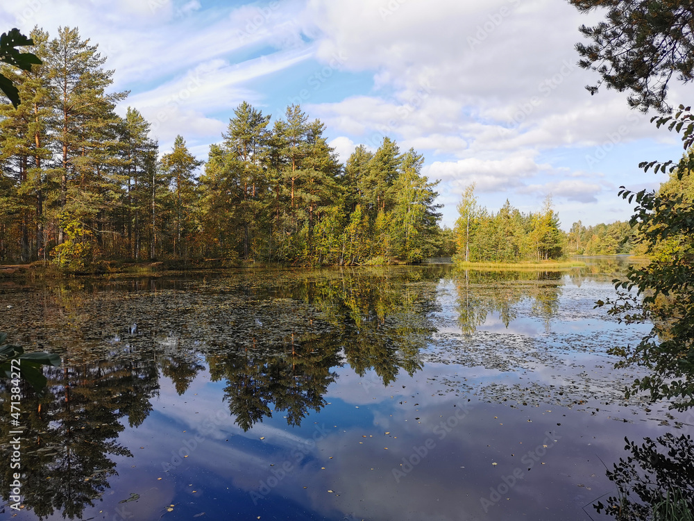 The mirror surface of a forest lake, in which trees and the sky with beautiful clouds are reflected.