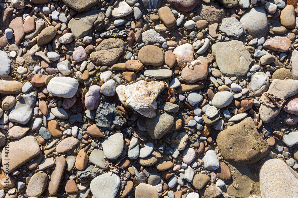 Naklejka premium Autumn, the shallow stone-sandy bottom of a mountain river in the rays of the morning sun, close-up.