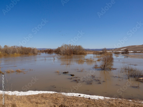River flood. Early spring. Beautiful spring landscape.