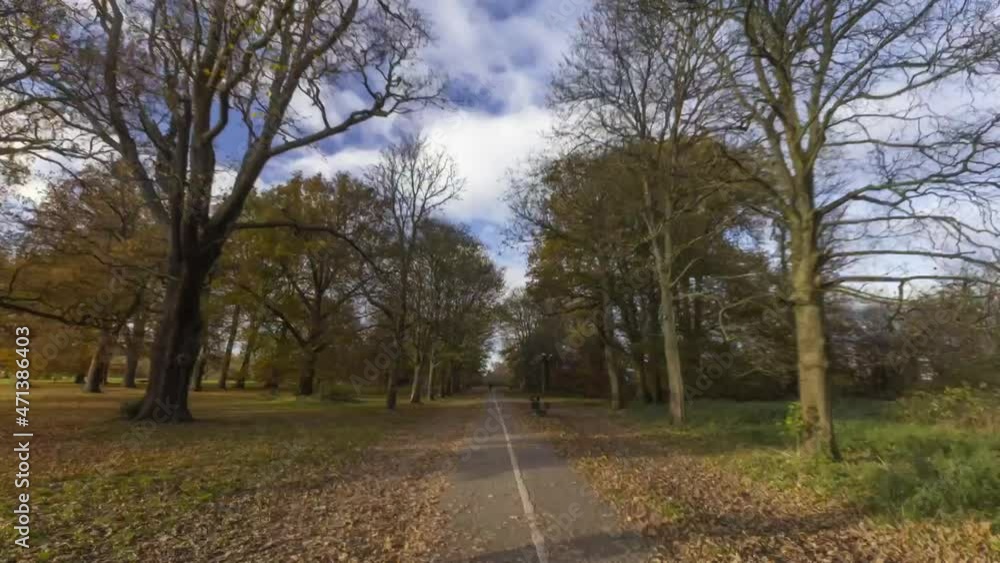 Hyper lapse along footpath between autumn trees Hyper lapse along footpath between autumn trees