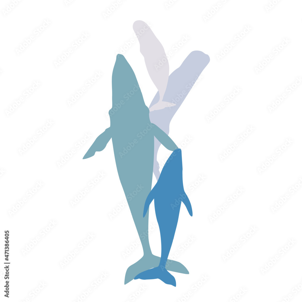 Fototapeta premium Whale silhouette