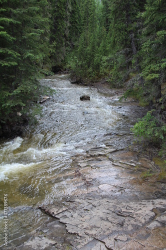stream in the forest, Nordegg, Alberta