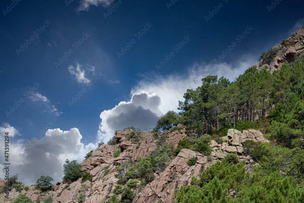 Bonifato forest near Calvi Corsica in the Balagne region Bonifato forest near Calvi Corsica in the Balagne region