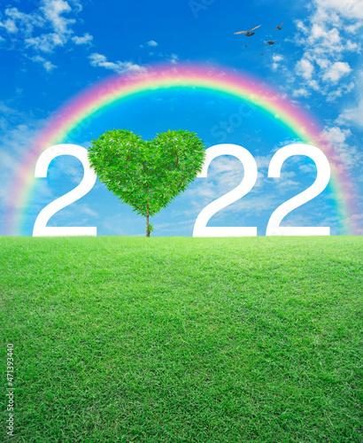 Tree in the shape of heart love with 2022 white text on green grass field over rainbow  birds and blue sky with white clouds  Valentines day 2022 cover concept
