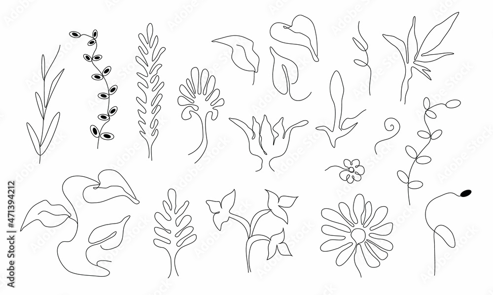 abstract tropical leaf, flower, element in one line style. modern natural set. hand drawn object, minimalist style. for print. banner, card, holiday idea. vector art  illustration