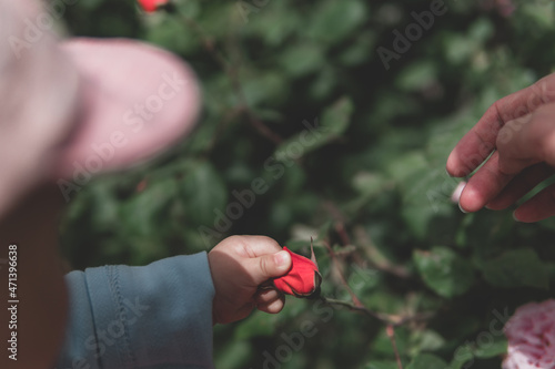 A baby picking flowers