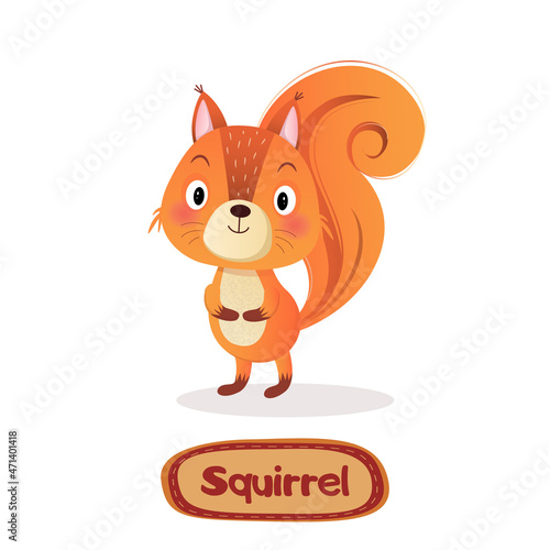 Cartoon funny squirrel with signature text on white Background