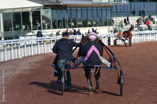 sulky et so, soigneur après la compétition photo