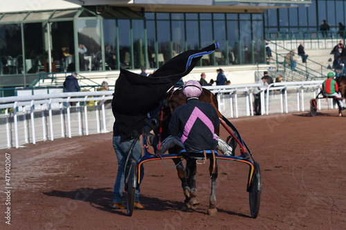 sulky et so, soigneur après la compétition photo