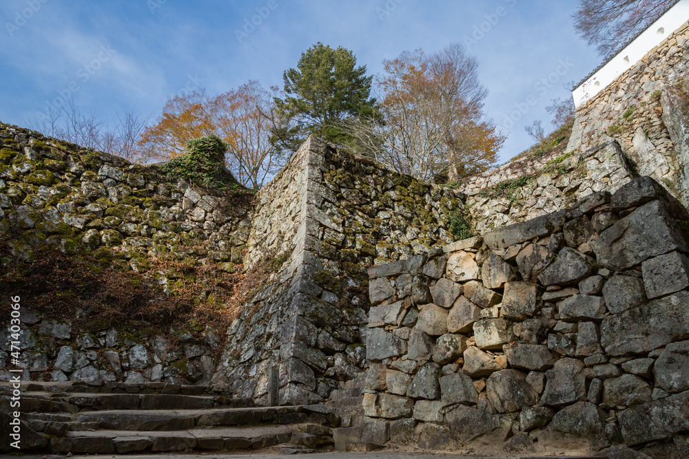 天空の城　備中松山城の石垣